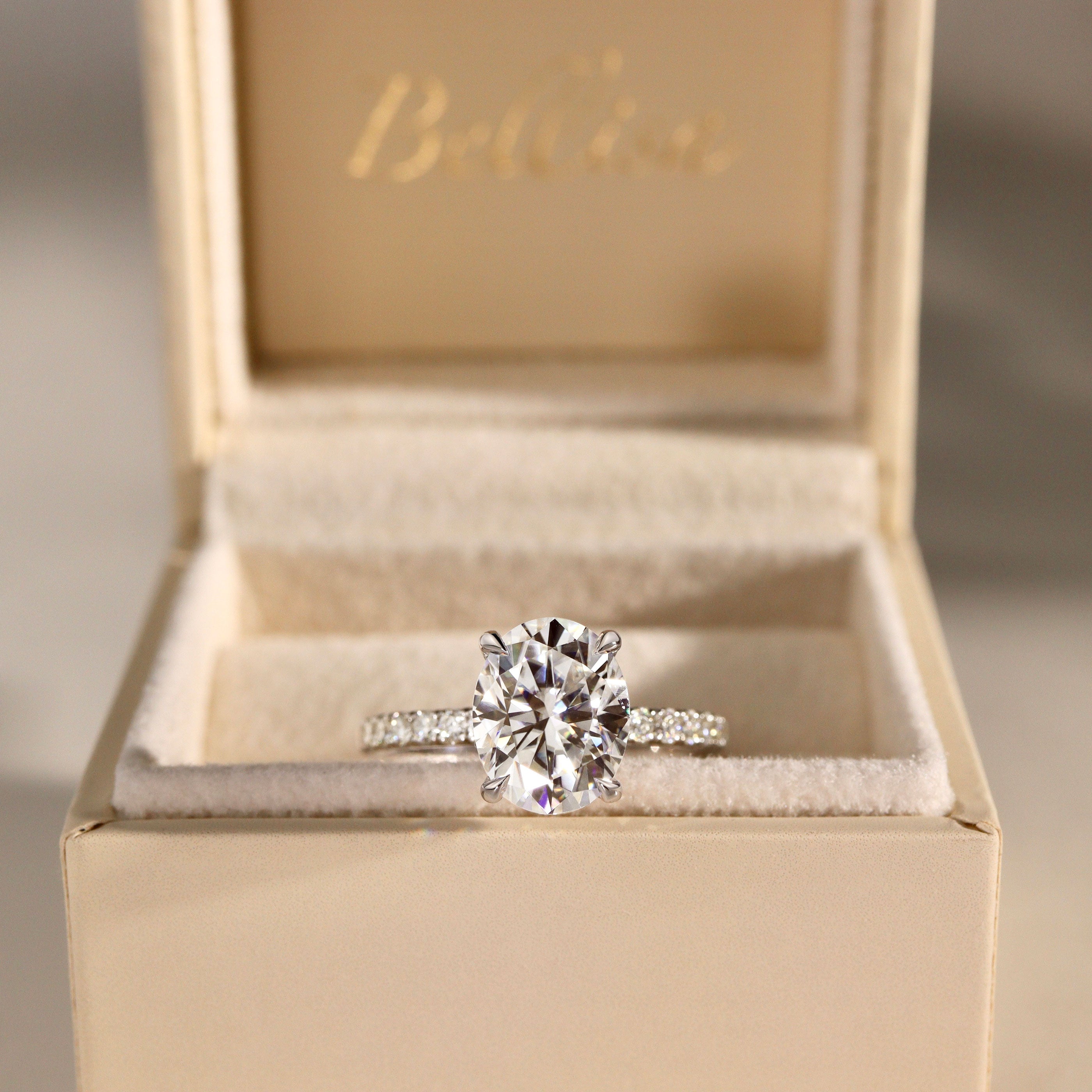 Lily Oval Double Hidden Halo Engagement Ring, Moissanite/Lab Grown Diamond