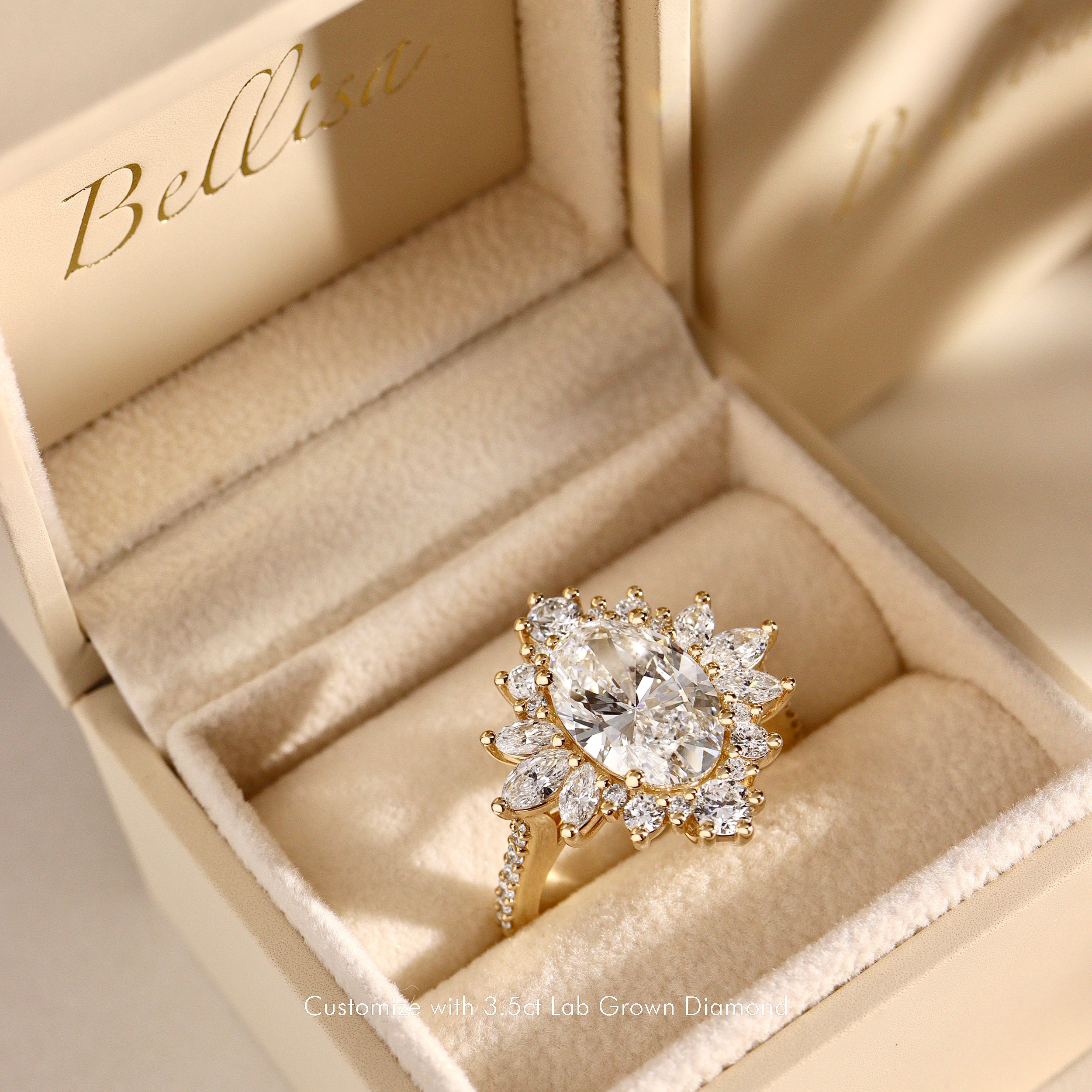 Mila Wings Halo Cluster Engagement Ring, Oval With Accent