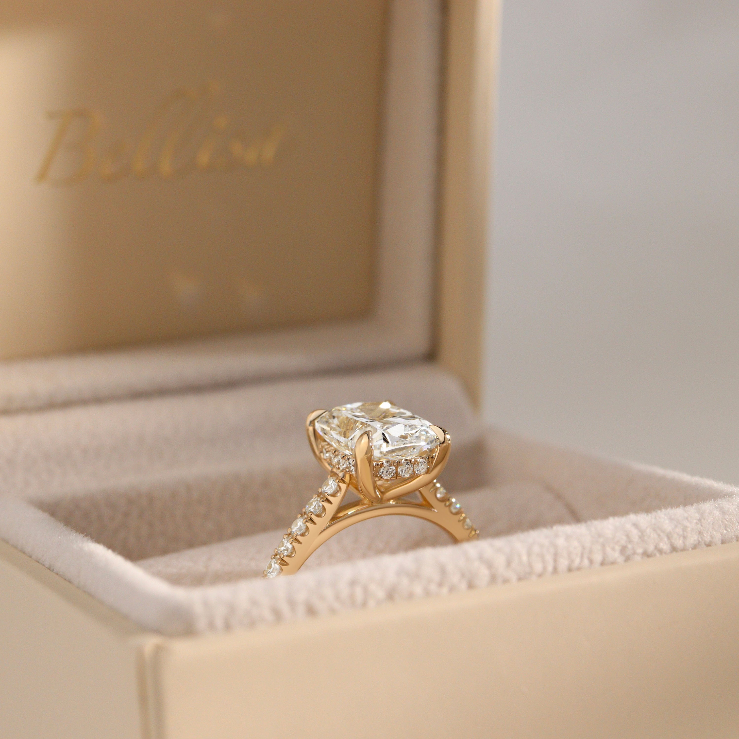 Riley Elongated Cushion Hidden Halo Engagement Ring, Cathedral w/ Pavé Band