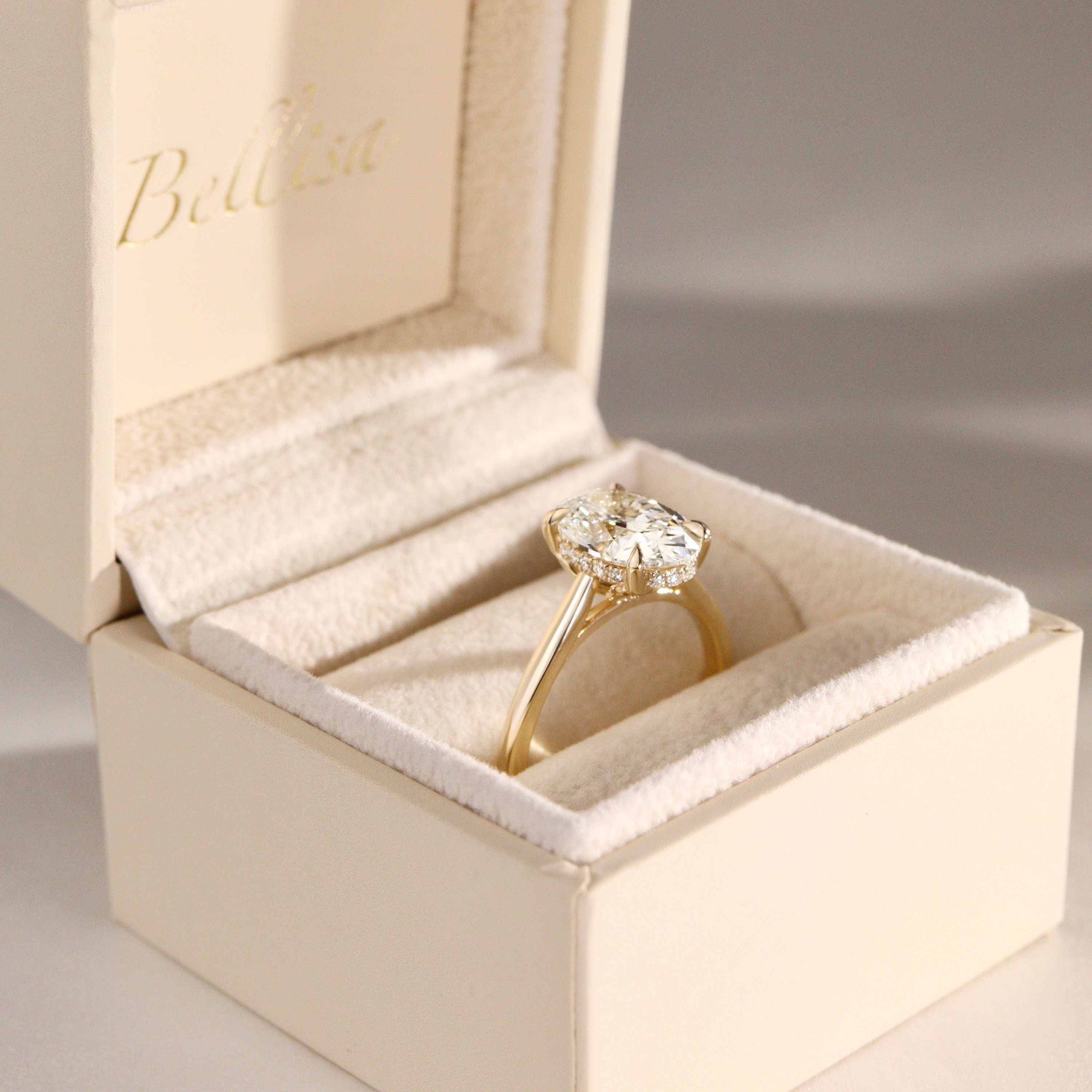 Ivy Oval Cut Hidden Halo Solitaire Engagement Ring, Cathedral Band