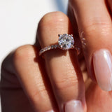 Amelia Round Hidden Halo Engagement Ring, High Set