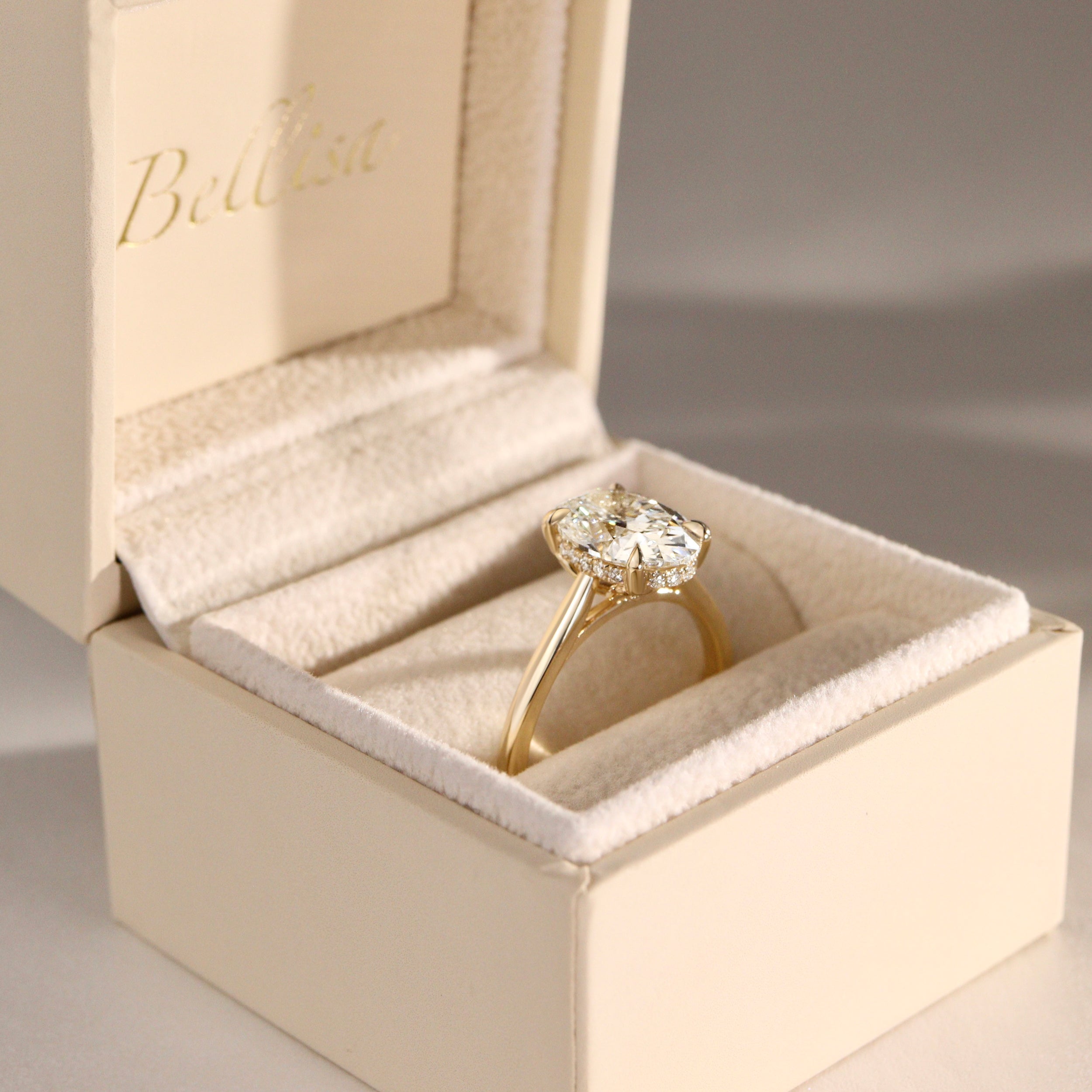 Rosalie Oval Hidden Halo Cathedral Engagement Ring, with Petal Basket