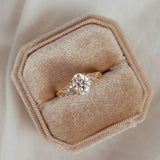 The Serene Swan Engagement Ring No.2, Oval With Pavé